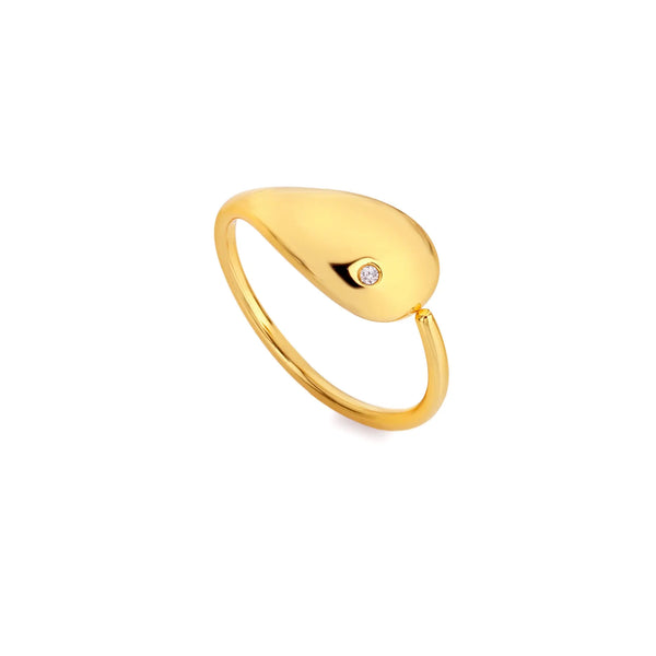 HD X JJ Tide Ring L HD X Golden Edit