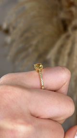 "Helen" Cognac/Brown Diamond Pave-set Diamond Band DSCC01 HEERA DIAMONDS