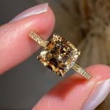 "Helen" Cognac/Brown Diamond Pave-set Diamond Band DSCC01